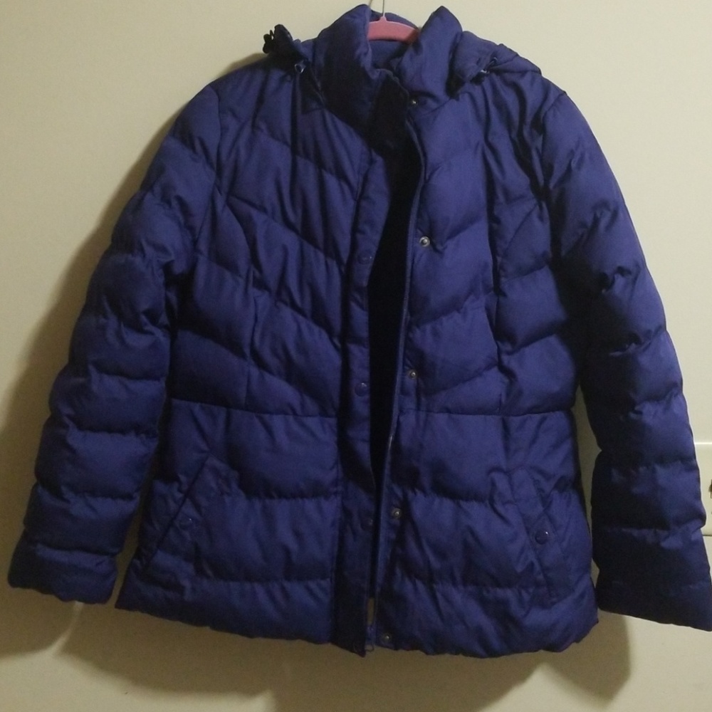 Winter Coat